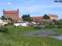 gniew11